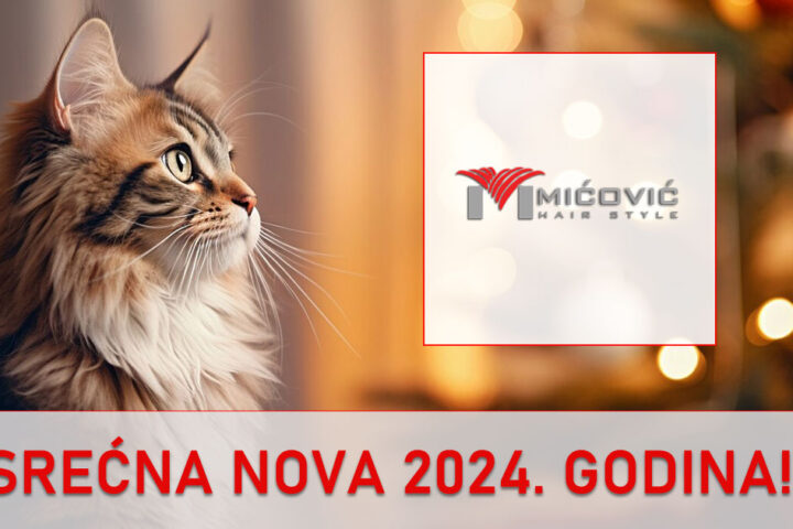 style-micovic-sisanje-beograd-povoljno-zakazivanje-ng-2024-01